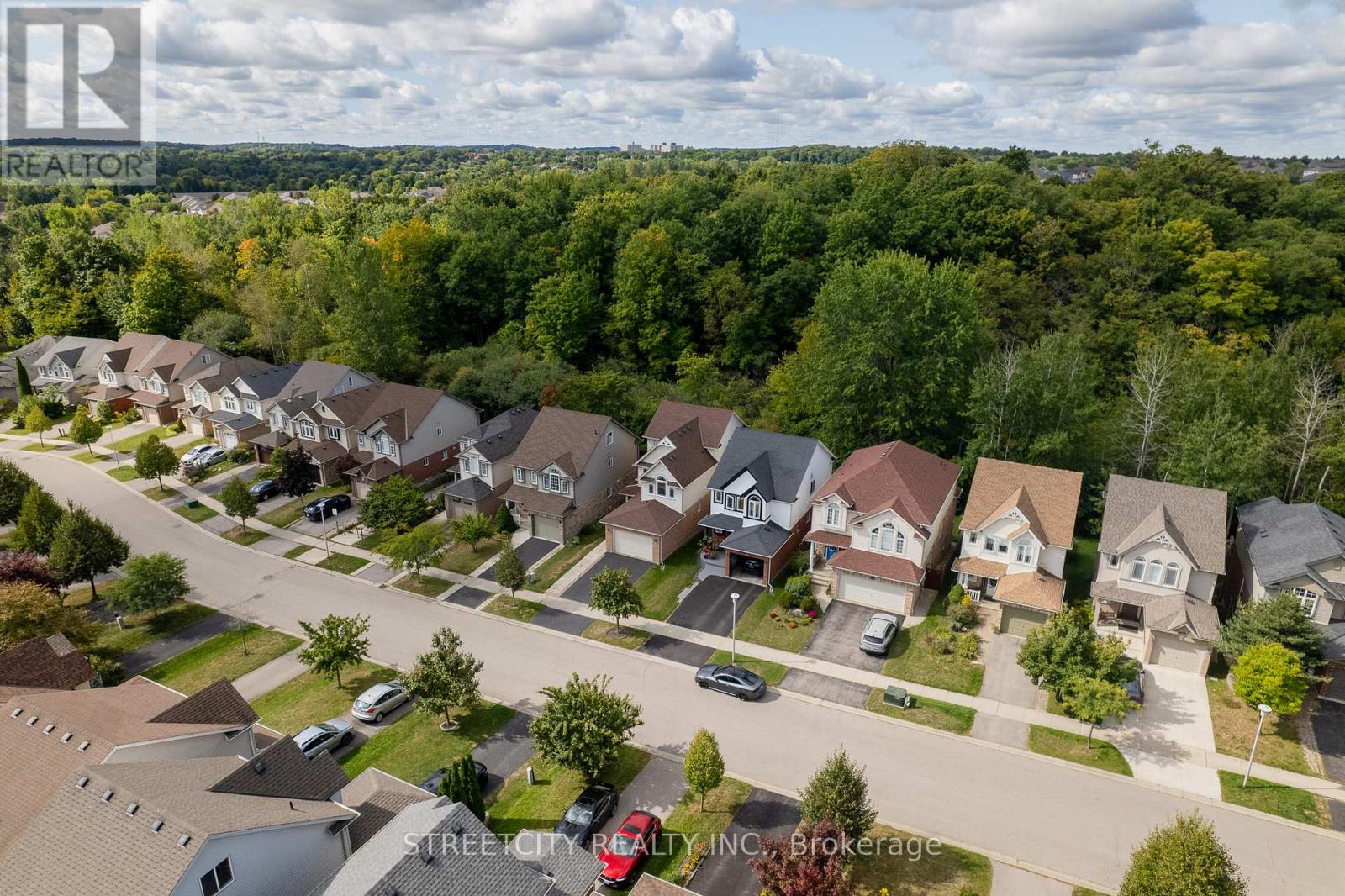 835 Sandcherry Street, London North, Ontario  N6H 5V1 - Photo 6 - X12403762