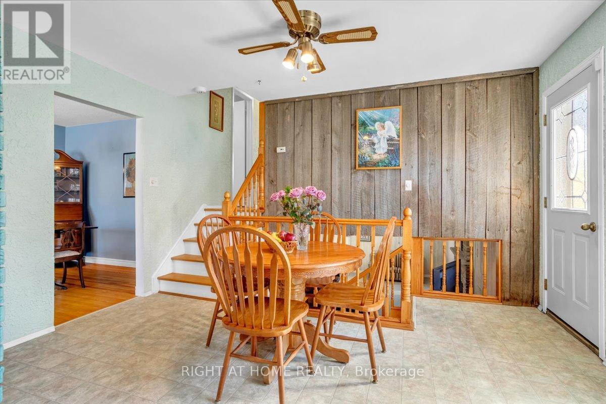 21 Willis Drive, Brampton, Ontario  L6W 1A8 - Photo 11 - W12403556
