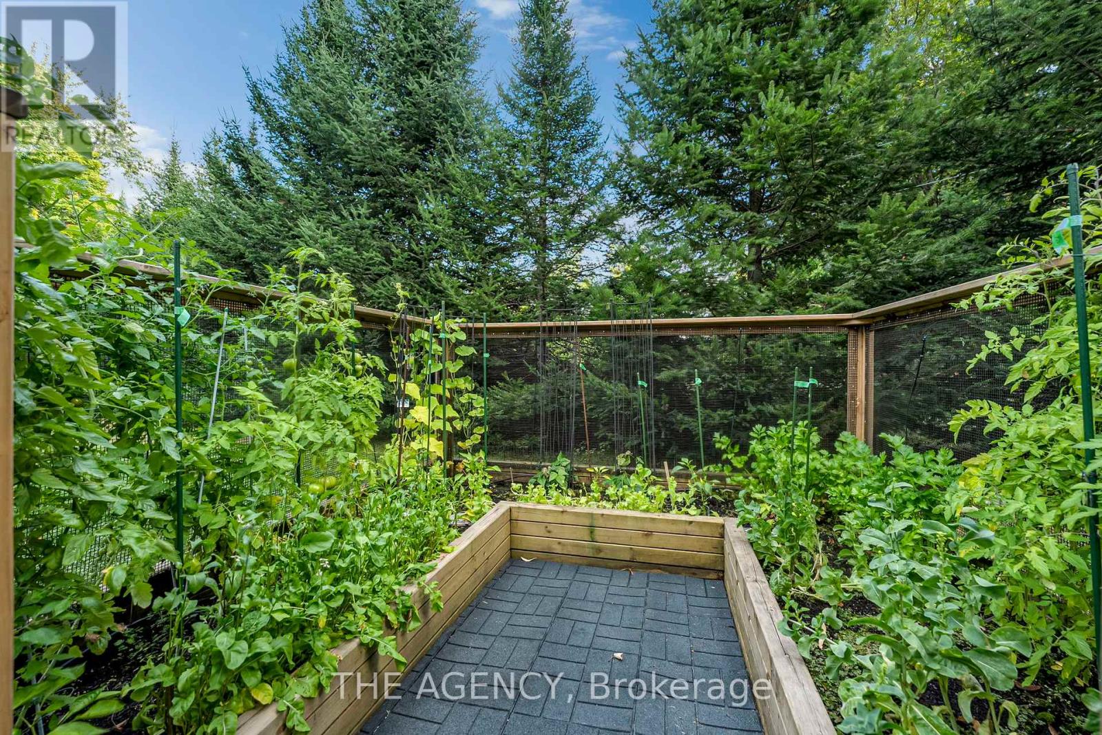 1158 Camp Gayventure Court, Minden Hills, Ontario  K0M 2K0 - Photo 42 - X12403602