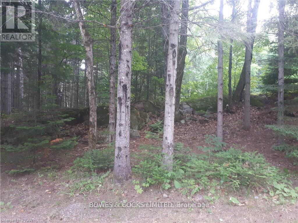 1326 Musclow Greenview, Hastings Highlands, Ontario  K0L 1C0 - Photo 5 - X12403850