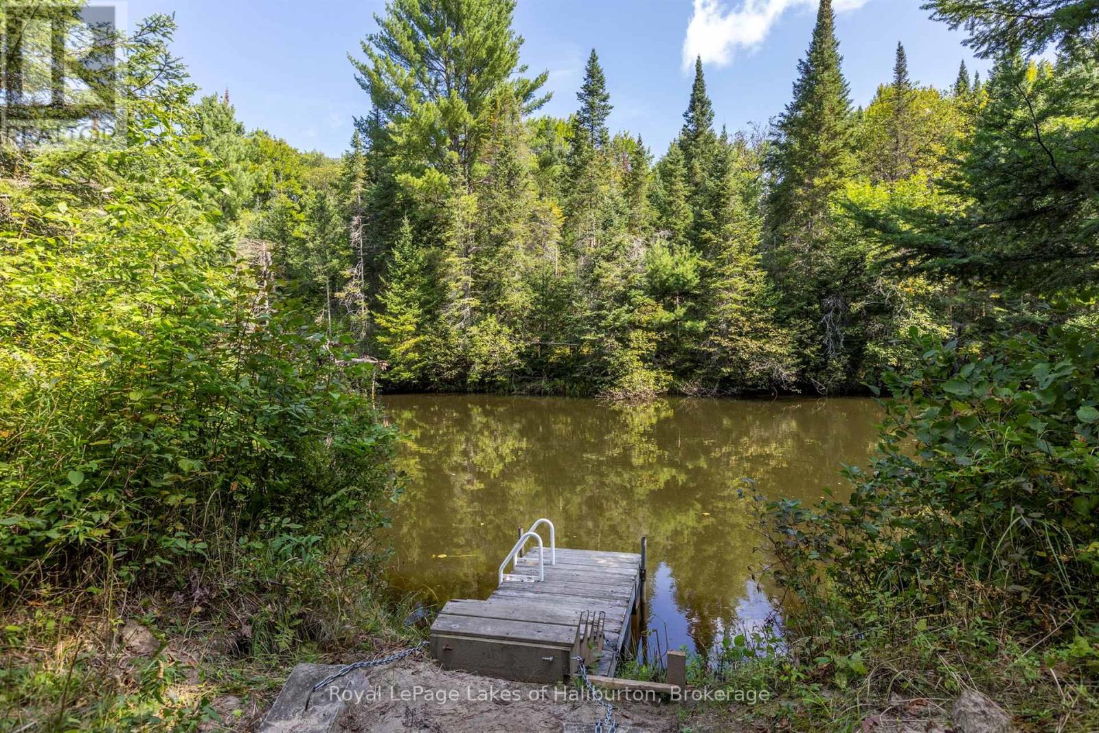 1880 Boldts Lane, Minden Hills, Ontario  K0M 2A1 - Photo 12 - X12403929