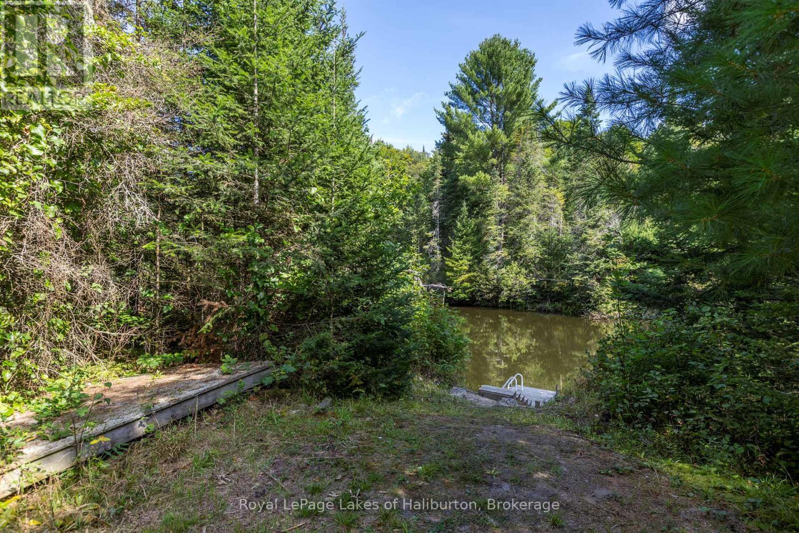 1880 Boldts Lane, Minden Hills, Ontario  K0M 2A1 - Photo 11 - X12403929