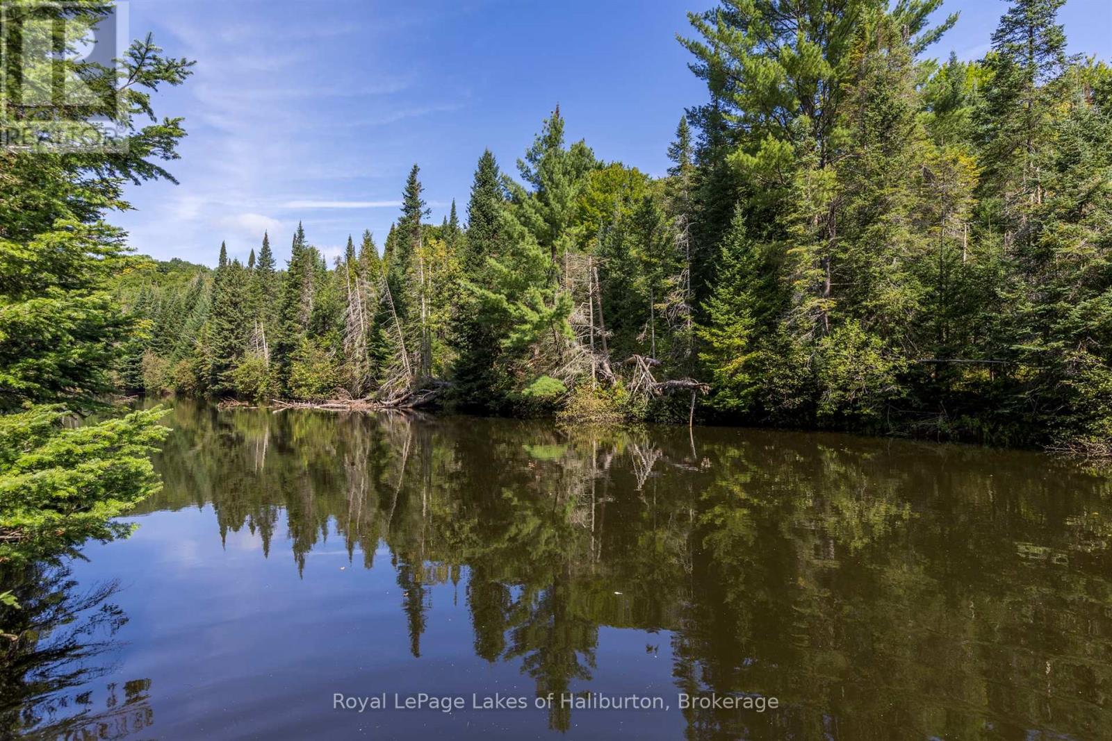 1880 Boldts Lane, Minden Hills, Ontario  K0M 2A1 - Photo 3 - X12403929