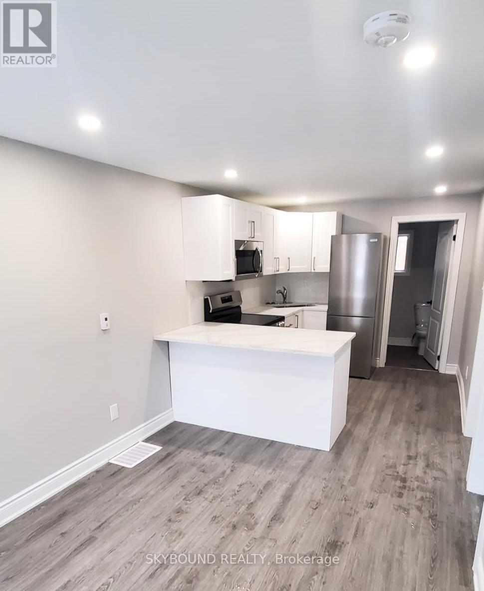 224 Rosslyn Avenue N, Hamilton, Ontario  L8L 7P7 - Photo 29 - X12403707