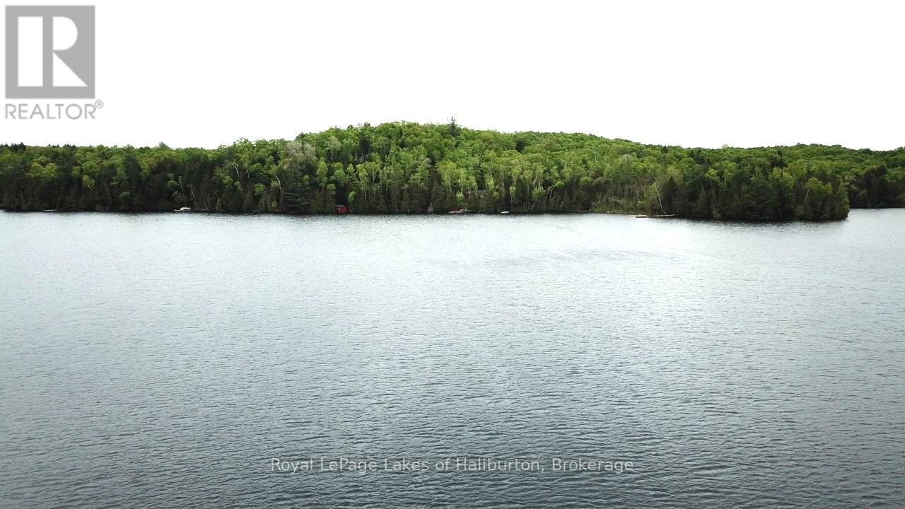 25 Fire Route 330 Drive, Trent Lakes, Ontario  K0M 1R0 - Photo 20 - X12404026