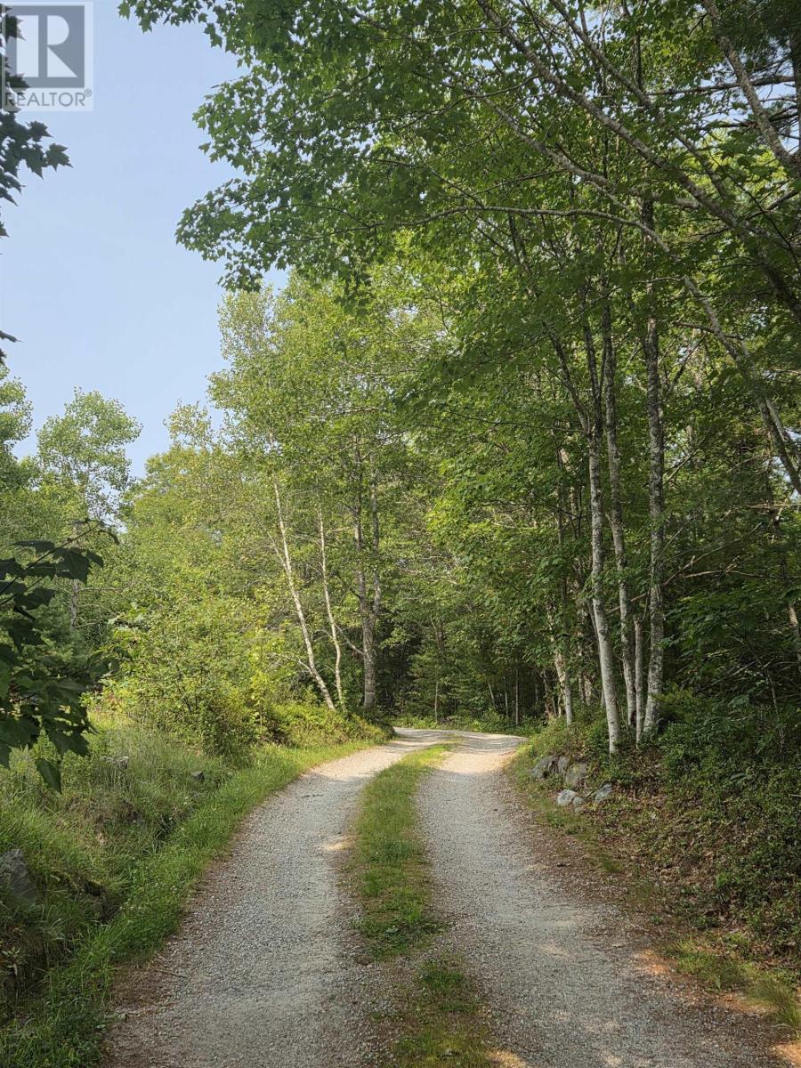 Lorem Ipsum, Sable River, Nova Scotia  B0T  - Photo 4 - DEMO28717869