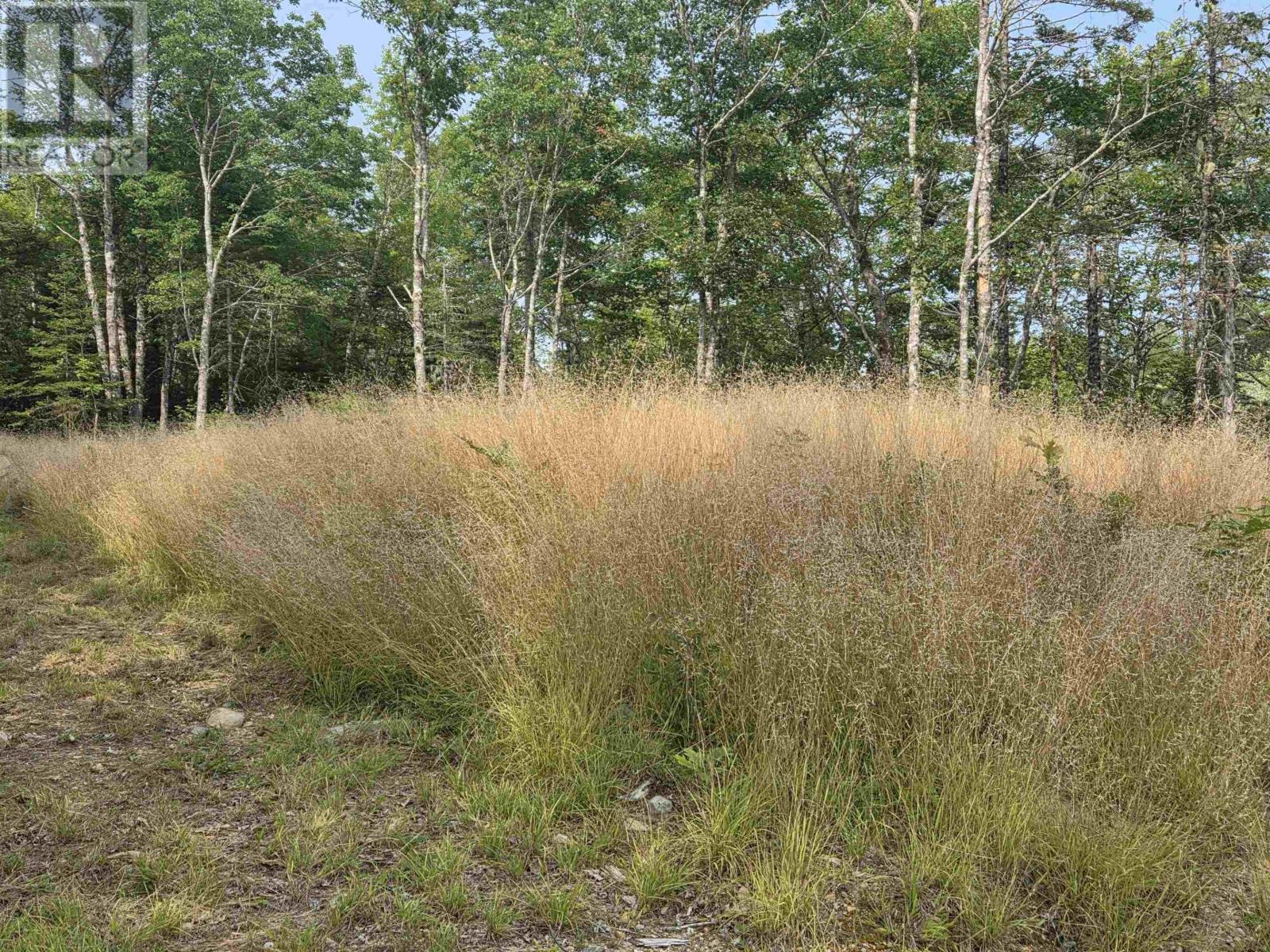 Lorem Ipsum, Sable River, Nova Scotia  B0T  - Photo 9 - DEMO28717869