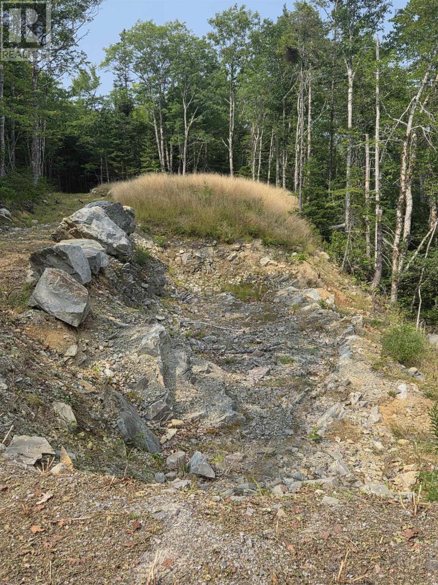 Lorem Ipsum, Sable River, Nova Scotia  B0T  - Photo 10 - DEMO28717869