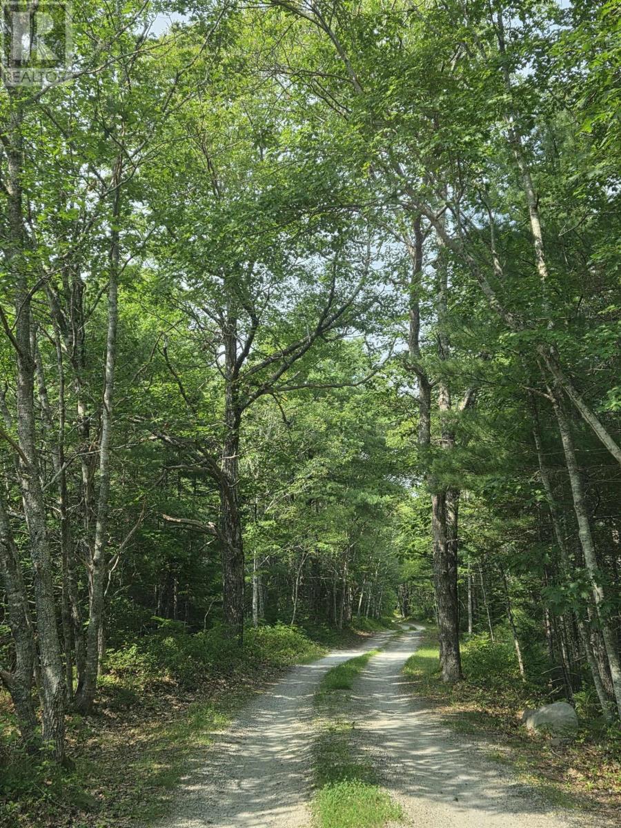 Lorem Ipsum, Sable River, Nova Scotia  B0T  - Photo 3 - DEMO28717869