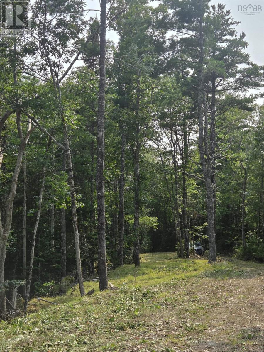 Lorem Ipsum, Sable River, Nova Scotia  B0T  - Photo 17 - DEMO28717869