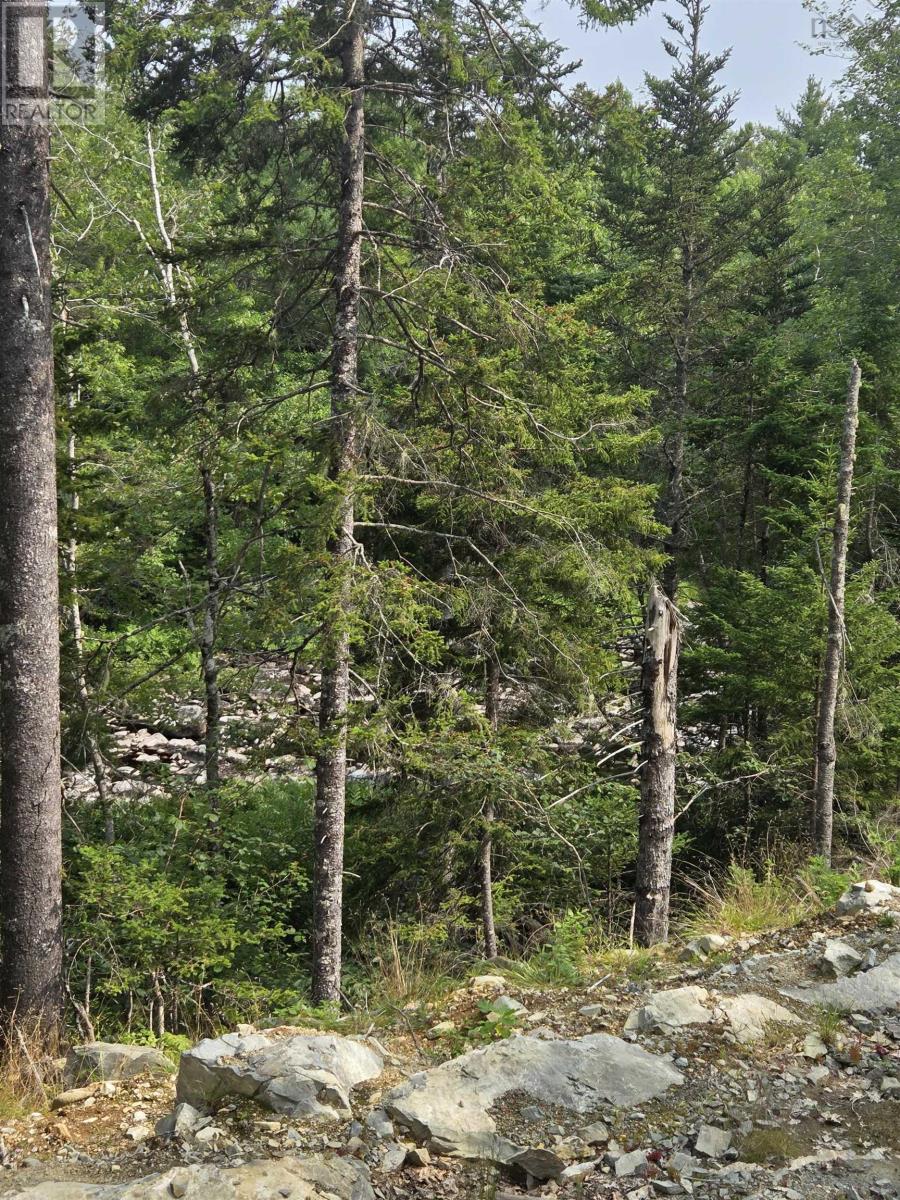 Lorem Ipsum, Sable River, Nova Scotia  B0T  - Photo 12 - DEMO28717869