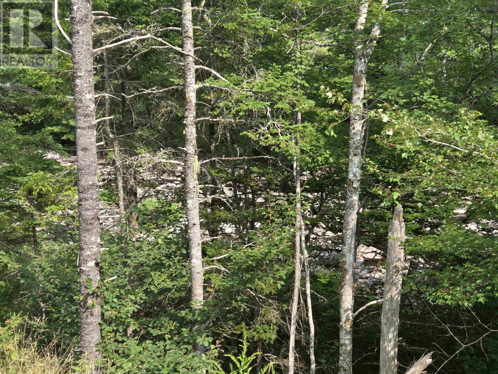 Lorem Ipsum, Sable River, Nova Scotia  B0T  - Photo 15 - DEMO28717869