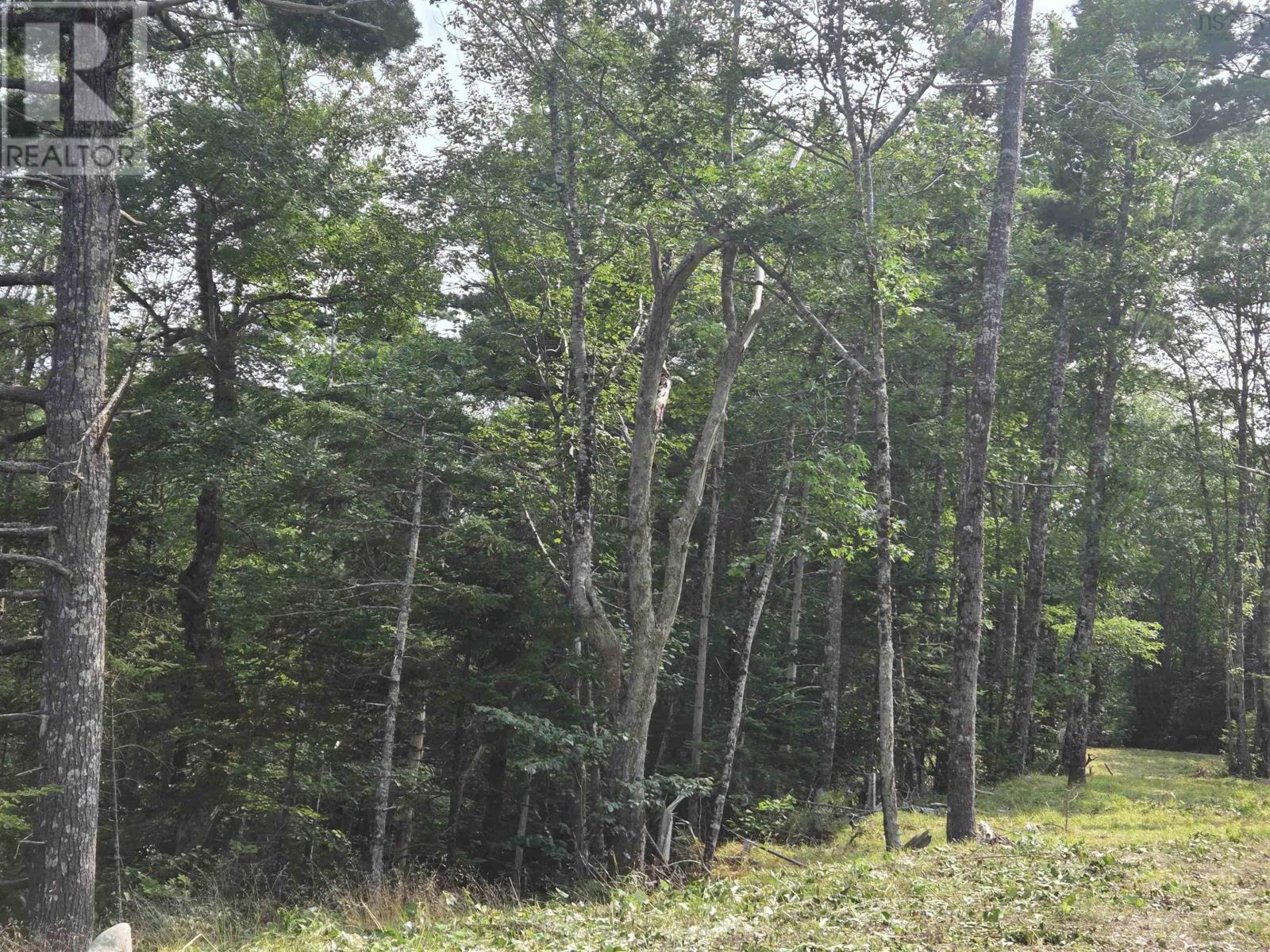 Lorem Ipsum, Sable River, Nova Scotia  B0T  - Photo 13 - DEMO28717869