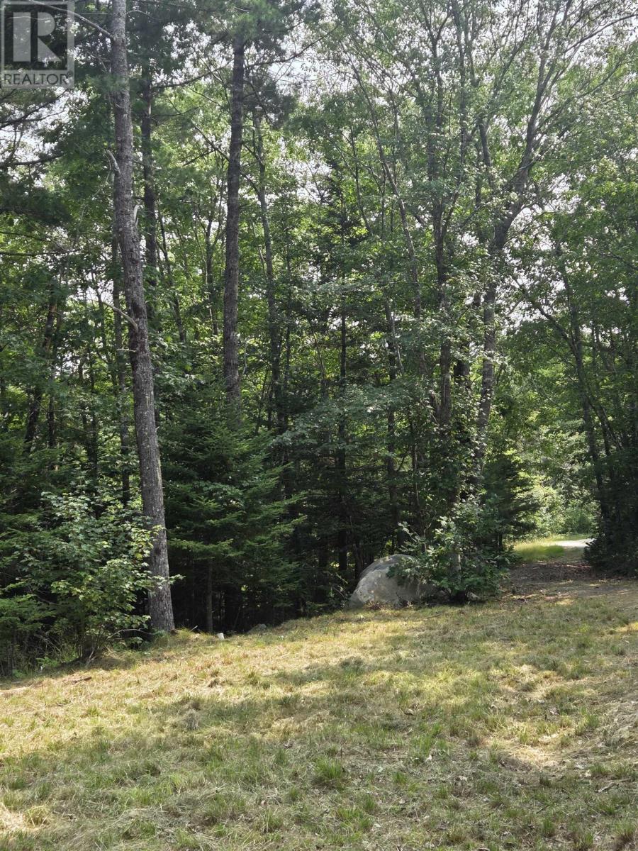 Lorem Ipsum, Sable River, Nova Scotia  B0T  - Photo 16 - DEMO28717869