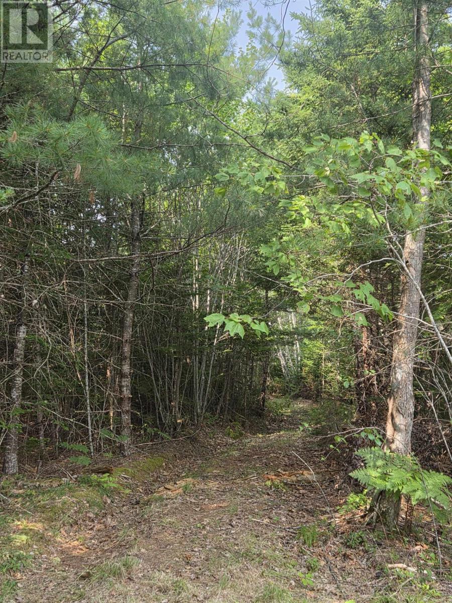 Lorem Ipsum, Sable River, Nova Scotia  B0T  - Photo 11 - DEMO28717869