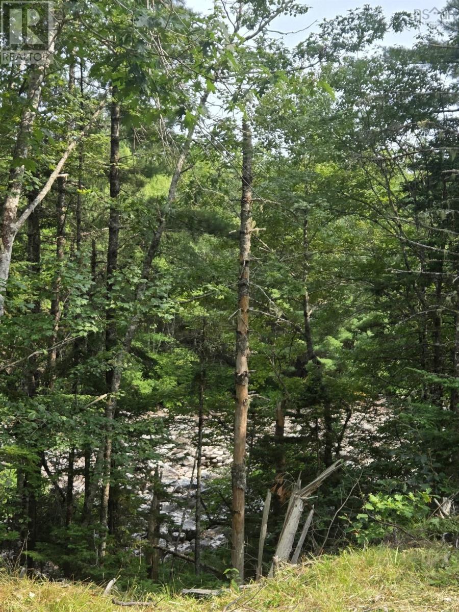 Lorem Ipsum, Sable River, Nova Scotia  B0T  - Photo 19 - DEMO28717869