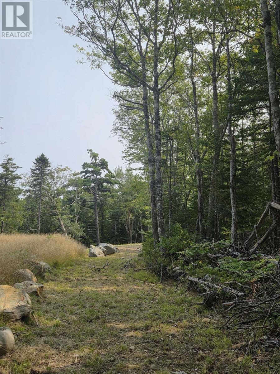 Lorem Ipsum, Sable River, Nova Scotia  B0T  - Photo 14 - DEMO28717869