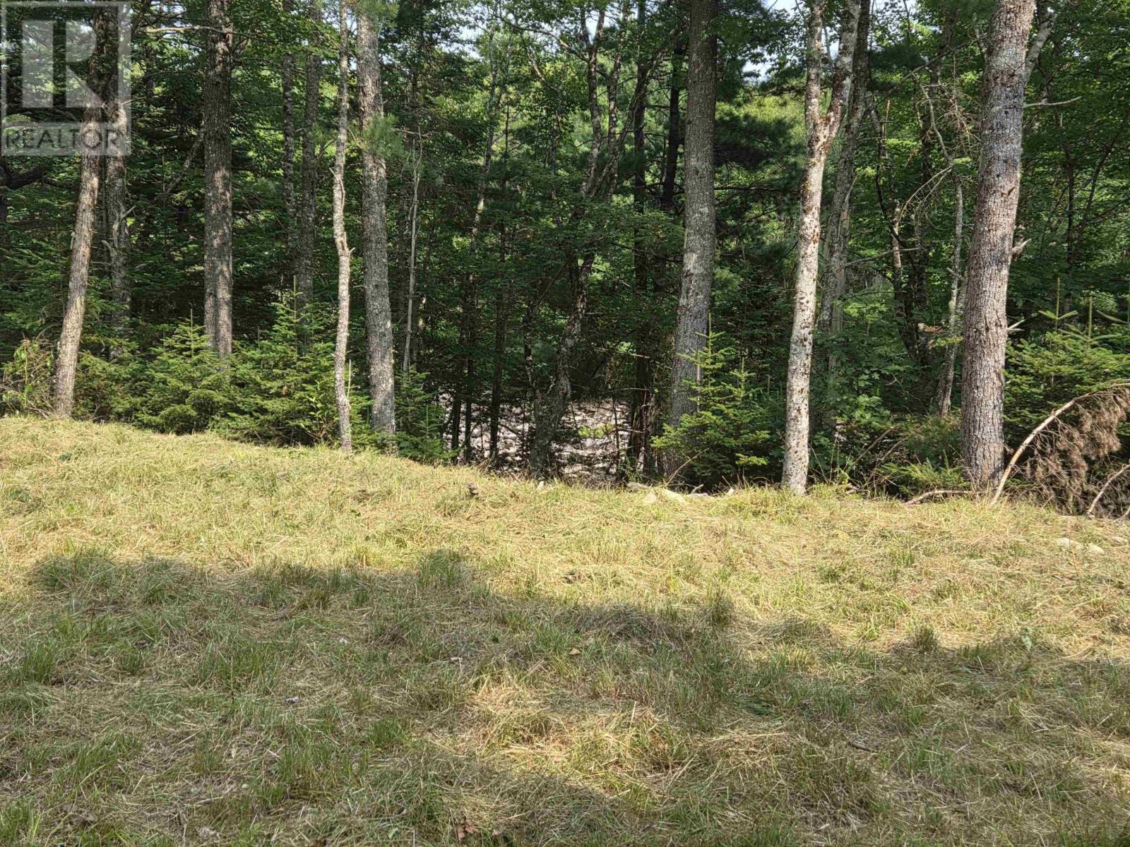 Lorem Ipsum, Sable River, Nova Scotia  B0T  - Photo 7 - DEMO28717869