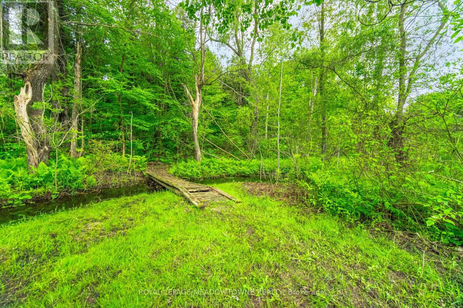 11302 Regional 25 Road, Halton Hills, Ontario  L7J 2M1 - Photo 46 - W12403810