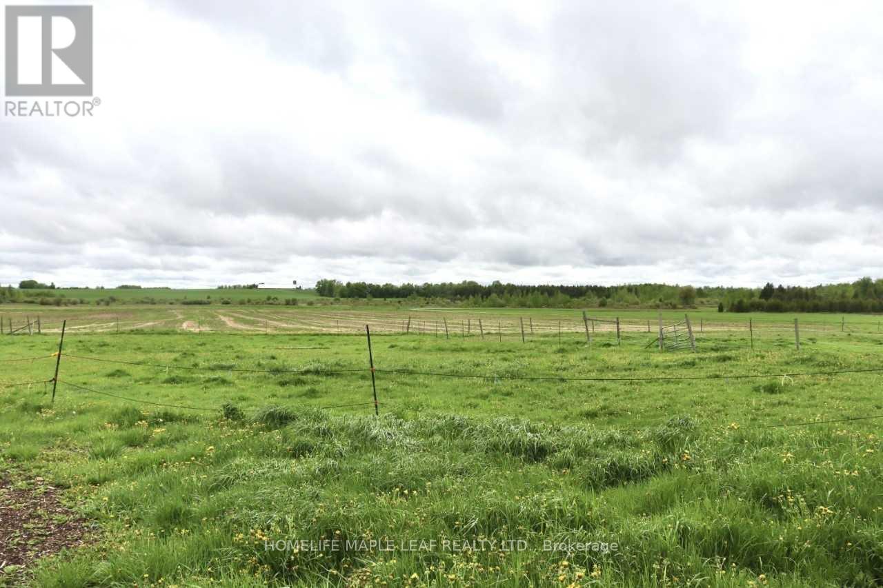 374136 6th Line, Amaranth, Ontario  L9W 0H6 - Photo 17 - X12403978