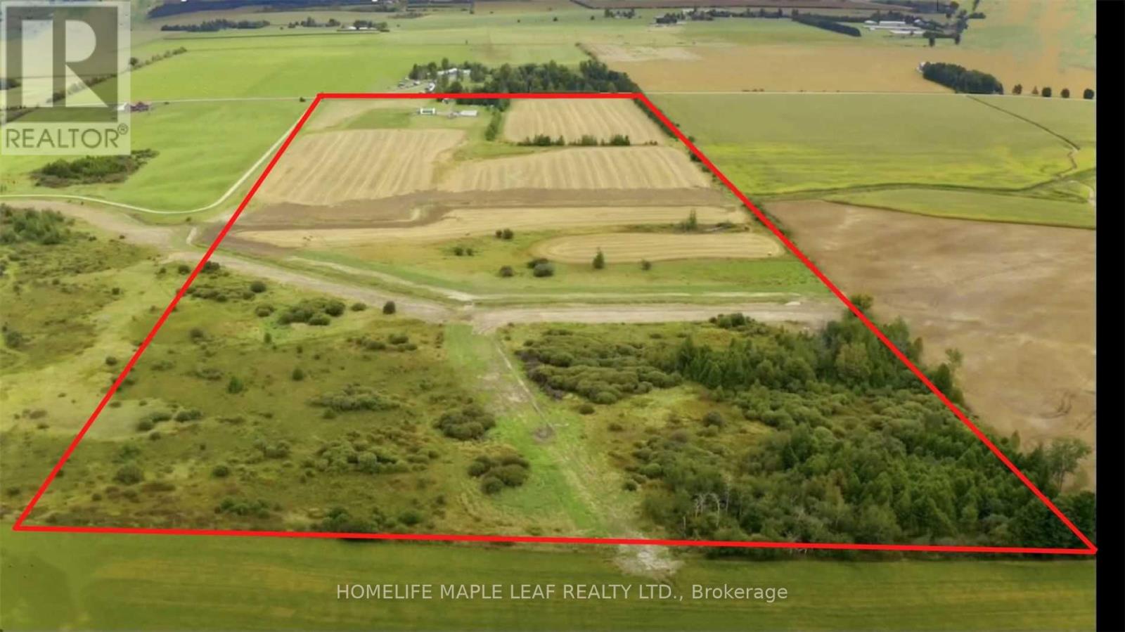 374136 6th Line, Amaranth, Ontario  L9W 0H6 - Photo 19 - X12403978