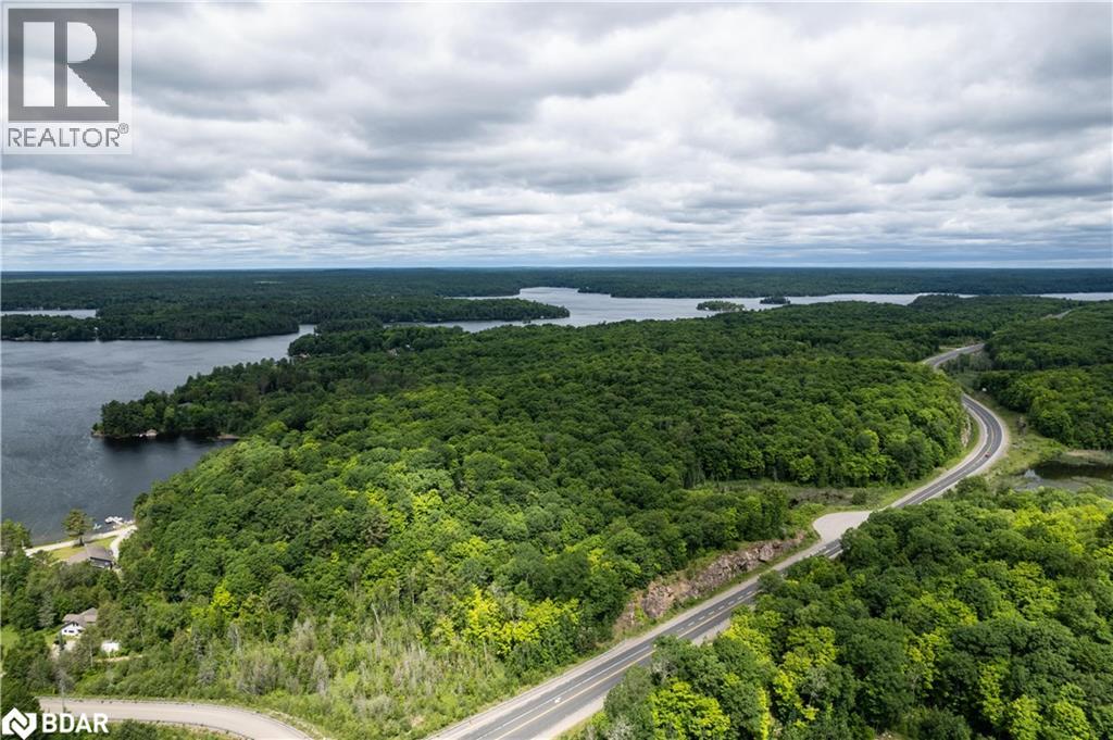 Lot 4 35 Highway, Minden, Ontario K0M 2L1 - Photo 4 - 40767985