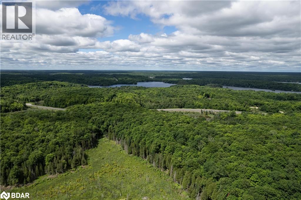 Lot 2 35 Highway, Minden, Ontario K0M 2L1 - Photo 3 - 40767980