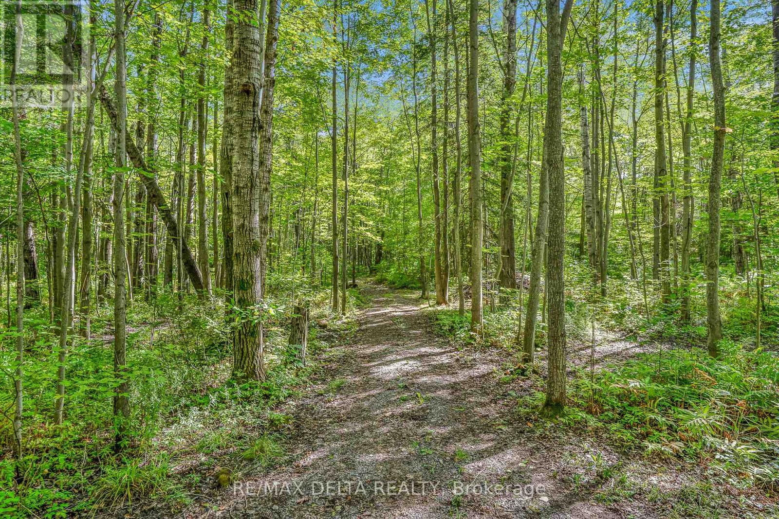 740 Vinette Road, Clarence-Rockland, Ontario  K0A 1N0 - Photo 27 - X12404101