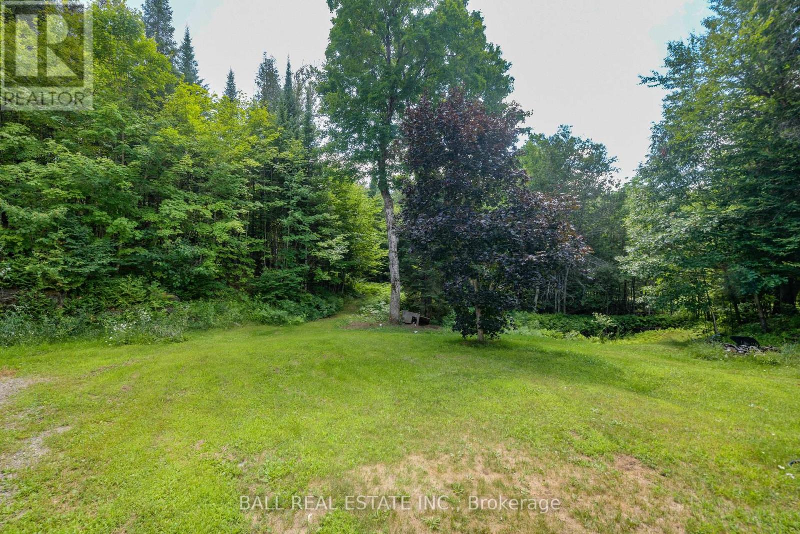 3 Graf Road, Bancroft, Ontario  K0L 2L0 - Photo 7 - X12404150