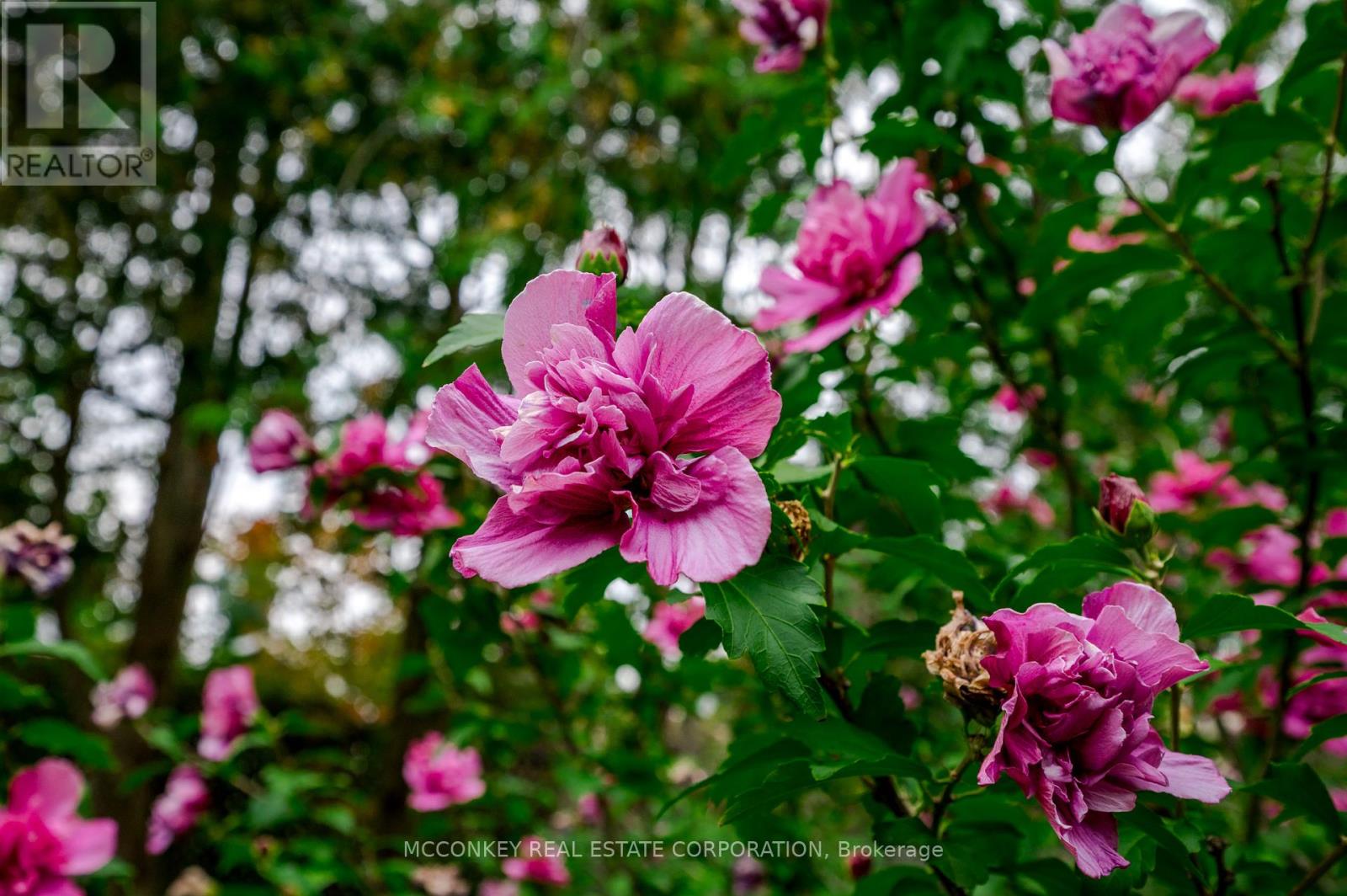 11 - 740 Chamberlain Street W, Peterborough, Ontario  K9J 4M3 - Photo 21 - X12404202