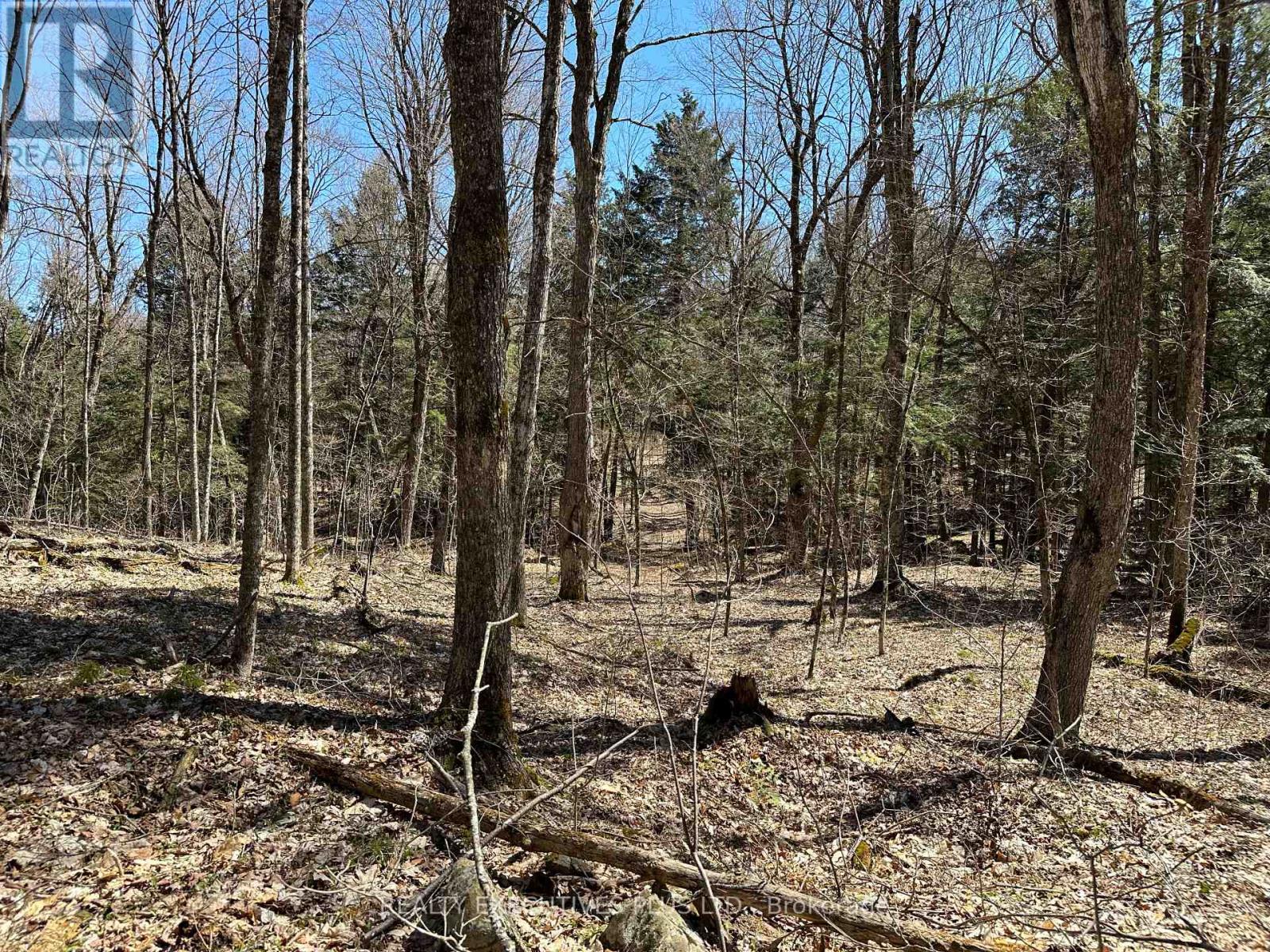 00 Dalhousie 4th Conc B Road, Lanark Highlands, Ontario  K0G 1K0 - Photo 16 - X12124703