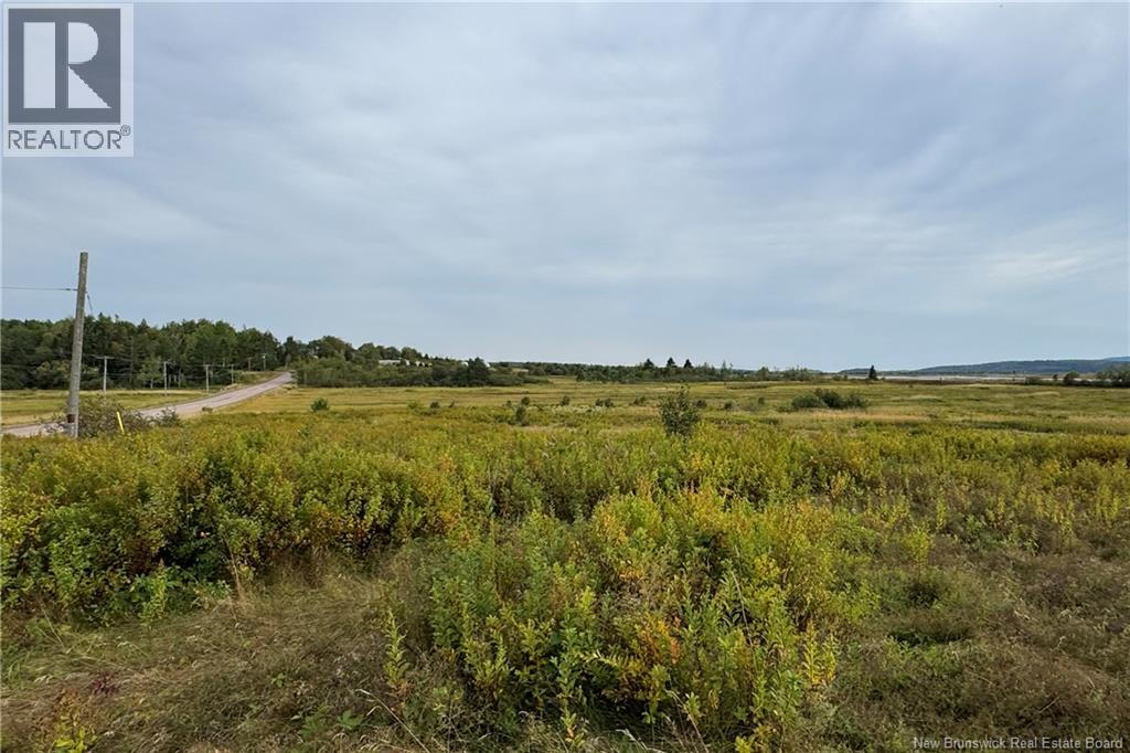 Lot Route 106, Middleton, New Brunswick  E4K 3H2 - Photo 10 - NB126754