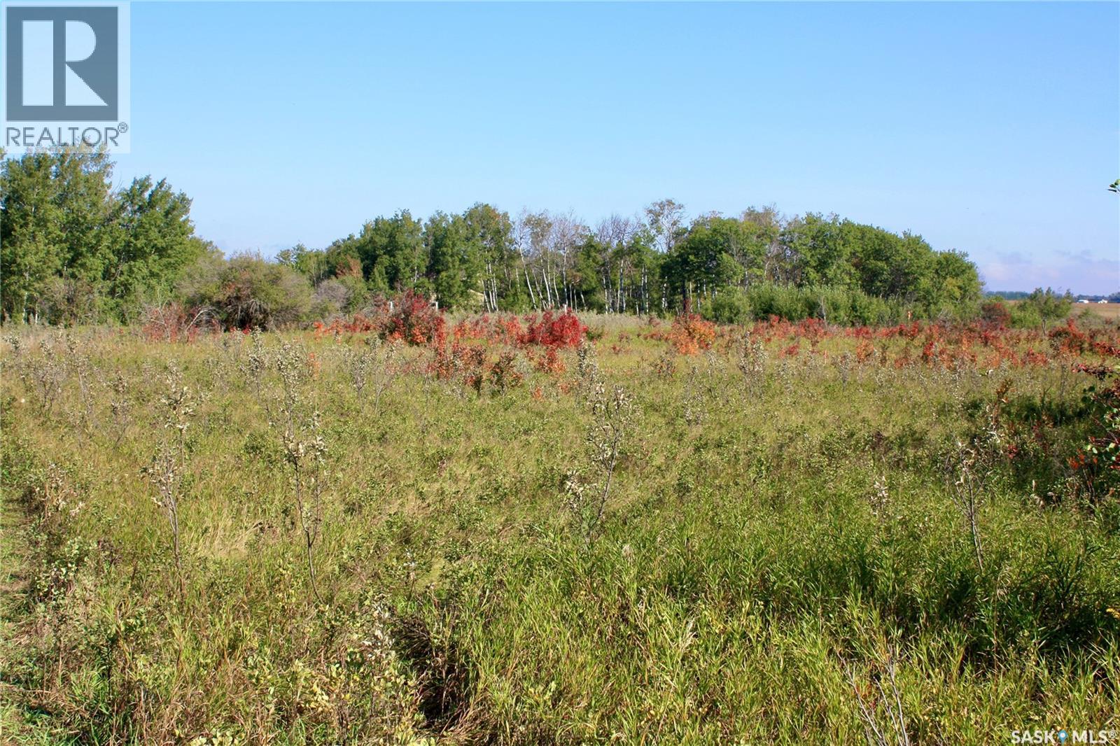 3 David Shiels Road, Dundurn Rm No. 314, Saskatchewan  S7C 0B2 - Photo 11 - SK018391