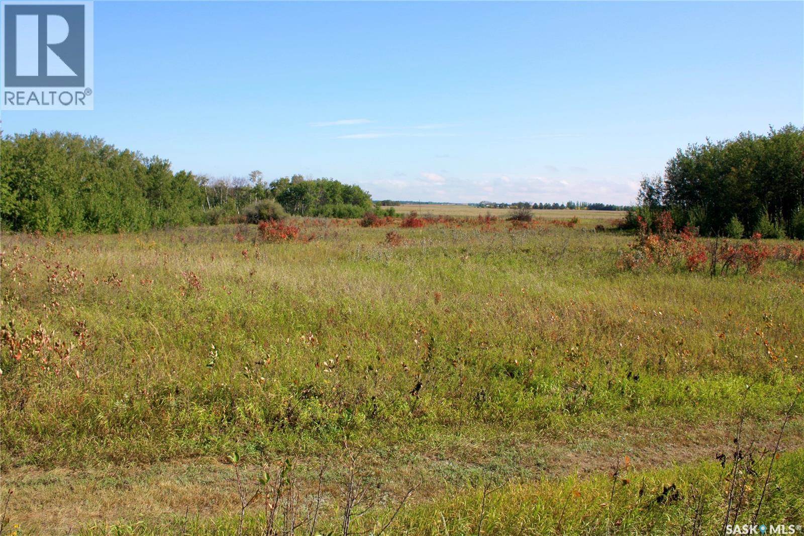 3 David Shiels Road, Dundurn Rm No. 314, Saskatchewan  S7C 0B2 - Photo 4 - SK018391