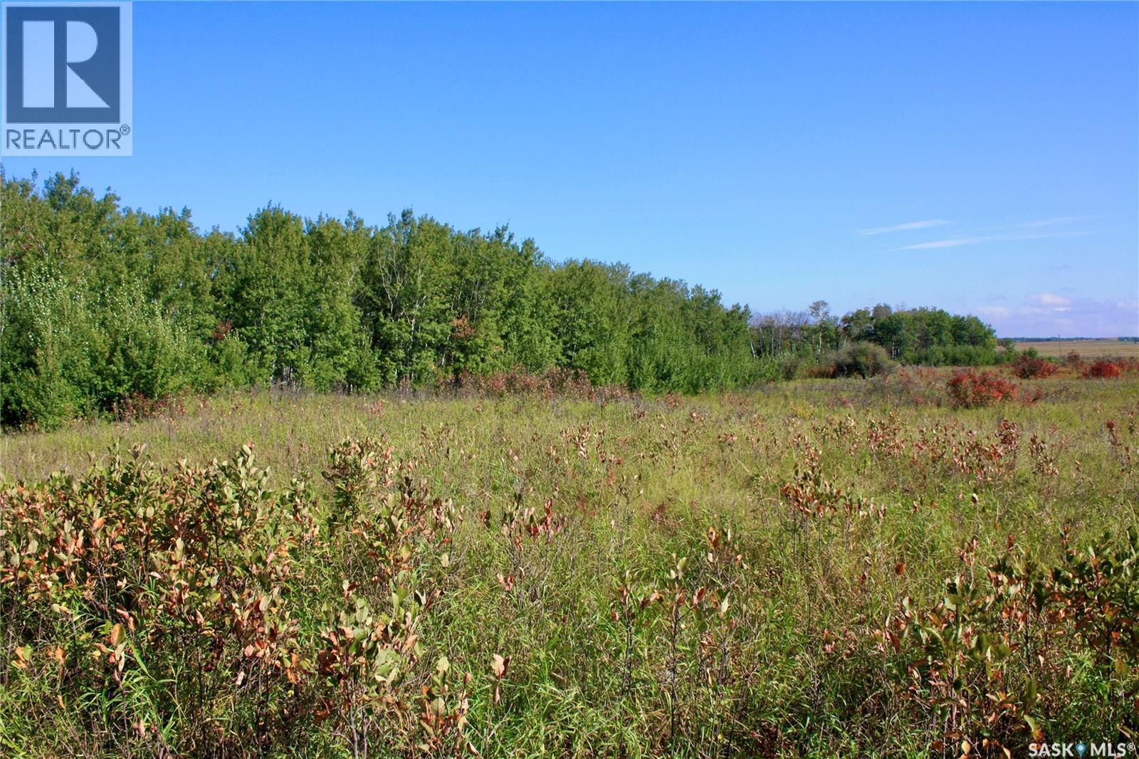 3 David Shiels Road, Dundurn Rm No. 314, Saskatchewan  S7C 0B2 - Photo 5 - SK018391