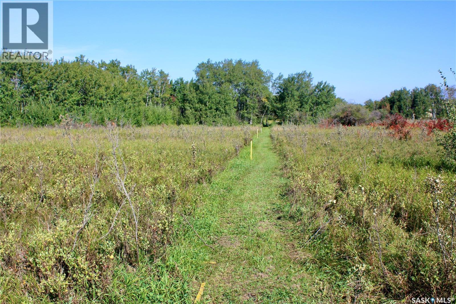 3 David Shiels Road, Dundurn Rm No. 314, Saskatchewan  S7C 0B2 - Photo 7 - SK018391