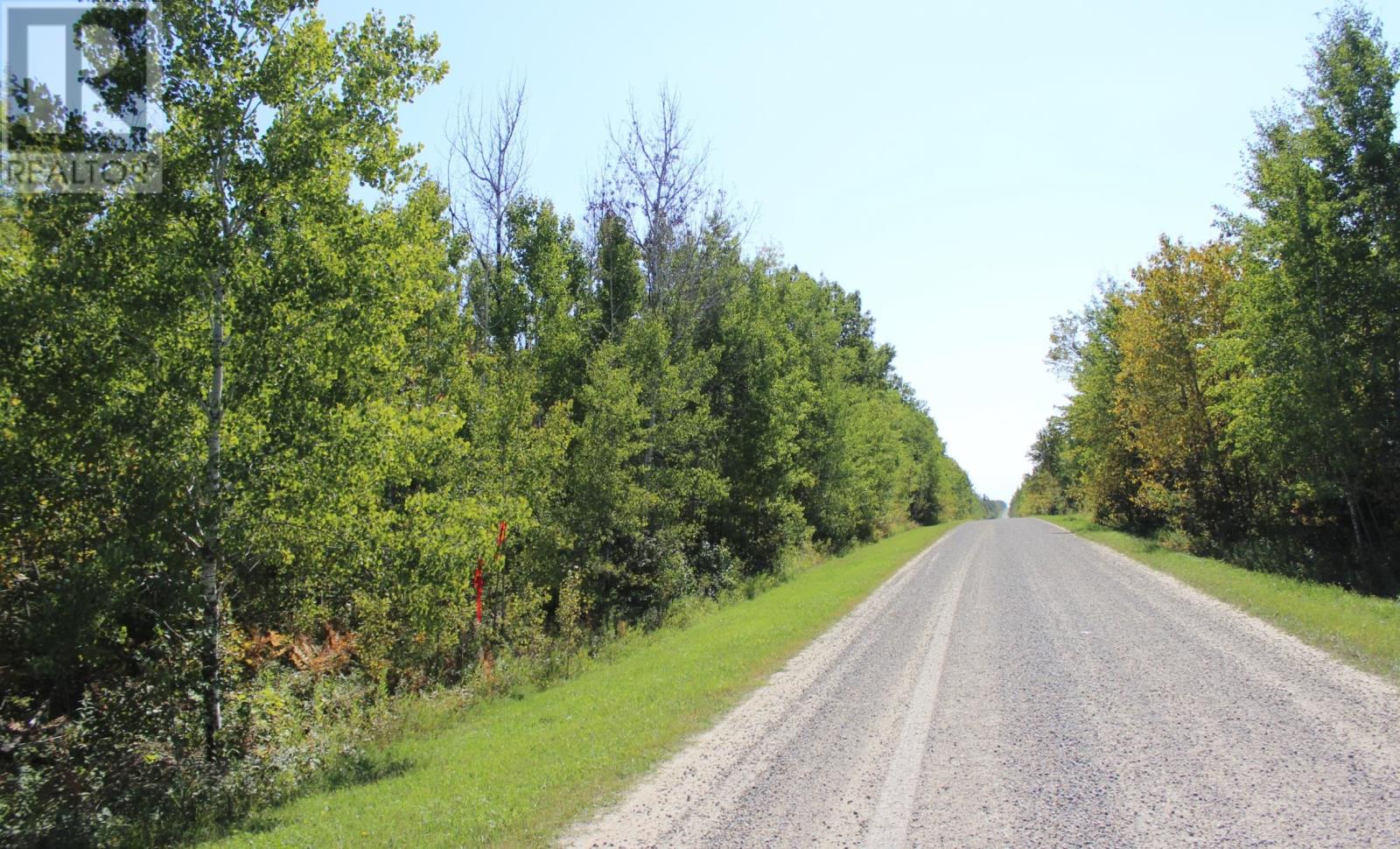 Pcl 46-3 Government Rd, Rainy River, Ontario  P0W 1L0 - Photo 14 - TB252880