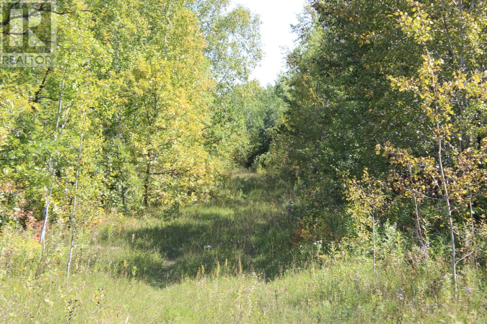 Pcl 46-3 Government Rd, Rainy River, Ontario  P0W 1L0 - Photo 16 - TB252880