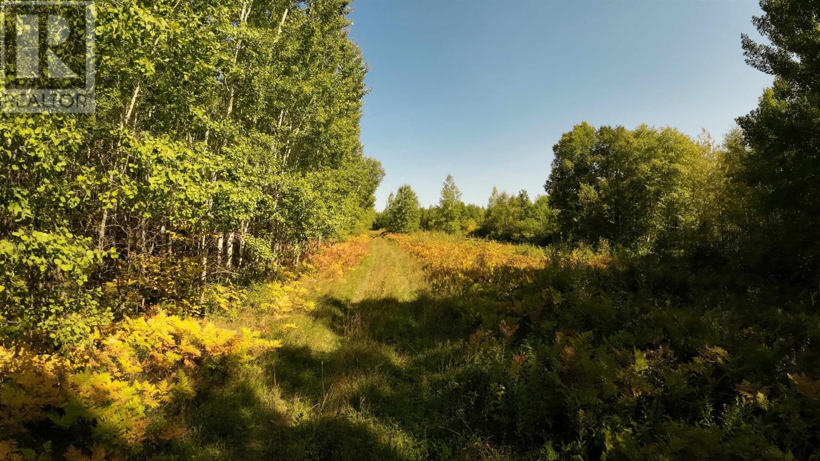 Pcl 46-3 Government Rd, Rainy River, Ontario  P0W 1L0 - Photo 1 - TB252880