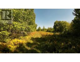 PCL 46-3 GOVERNMENT RD, RAINY RIVER, Ontario
