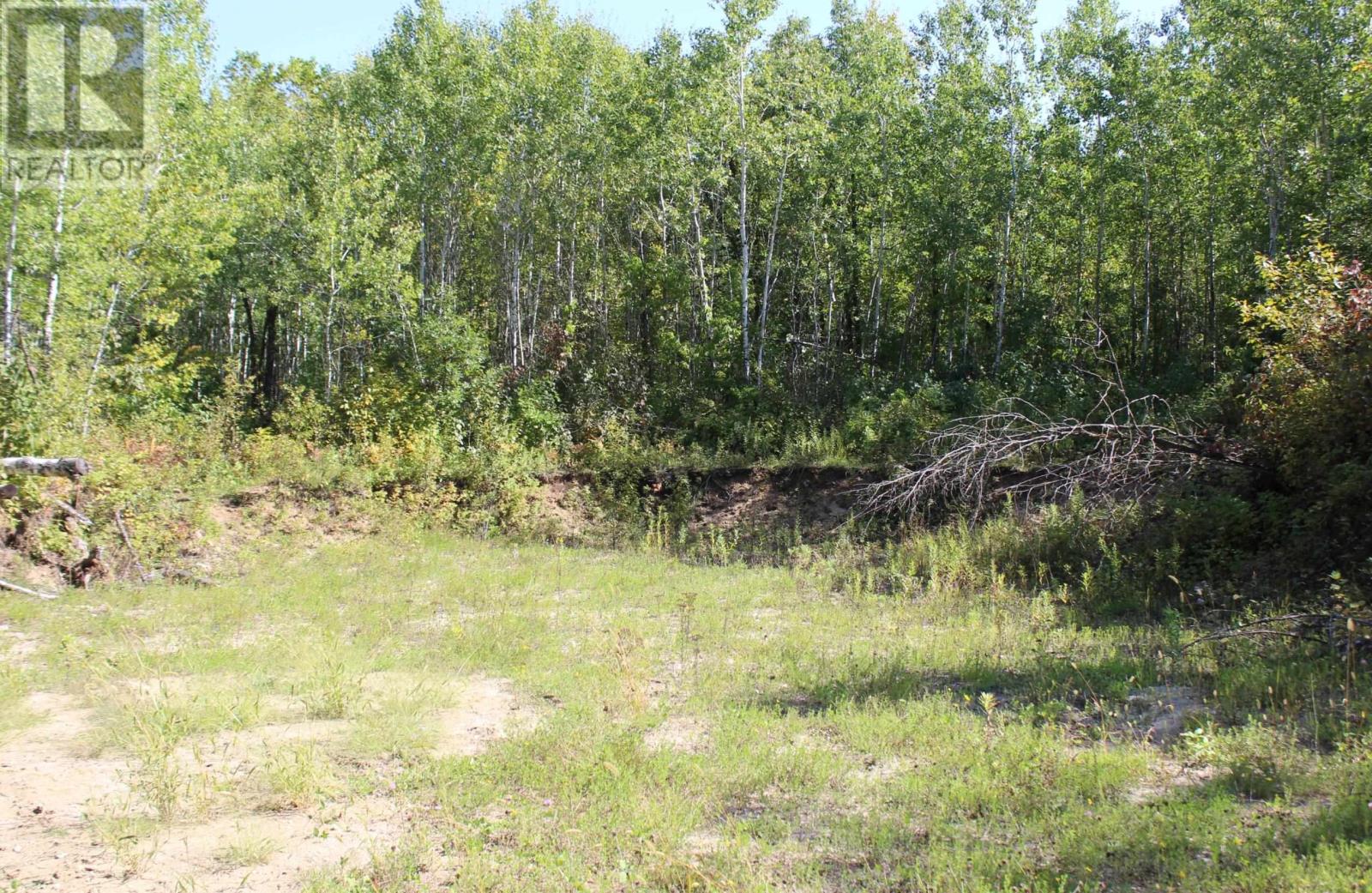 Pcl 46-3 Government Rd, Rainy River, Ontario  P0W 1L0 - Photo 23 - TB252880