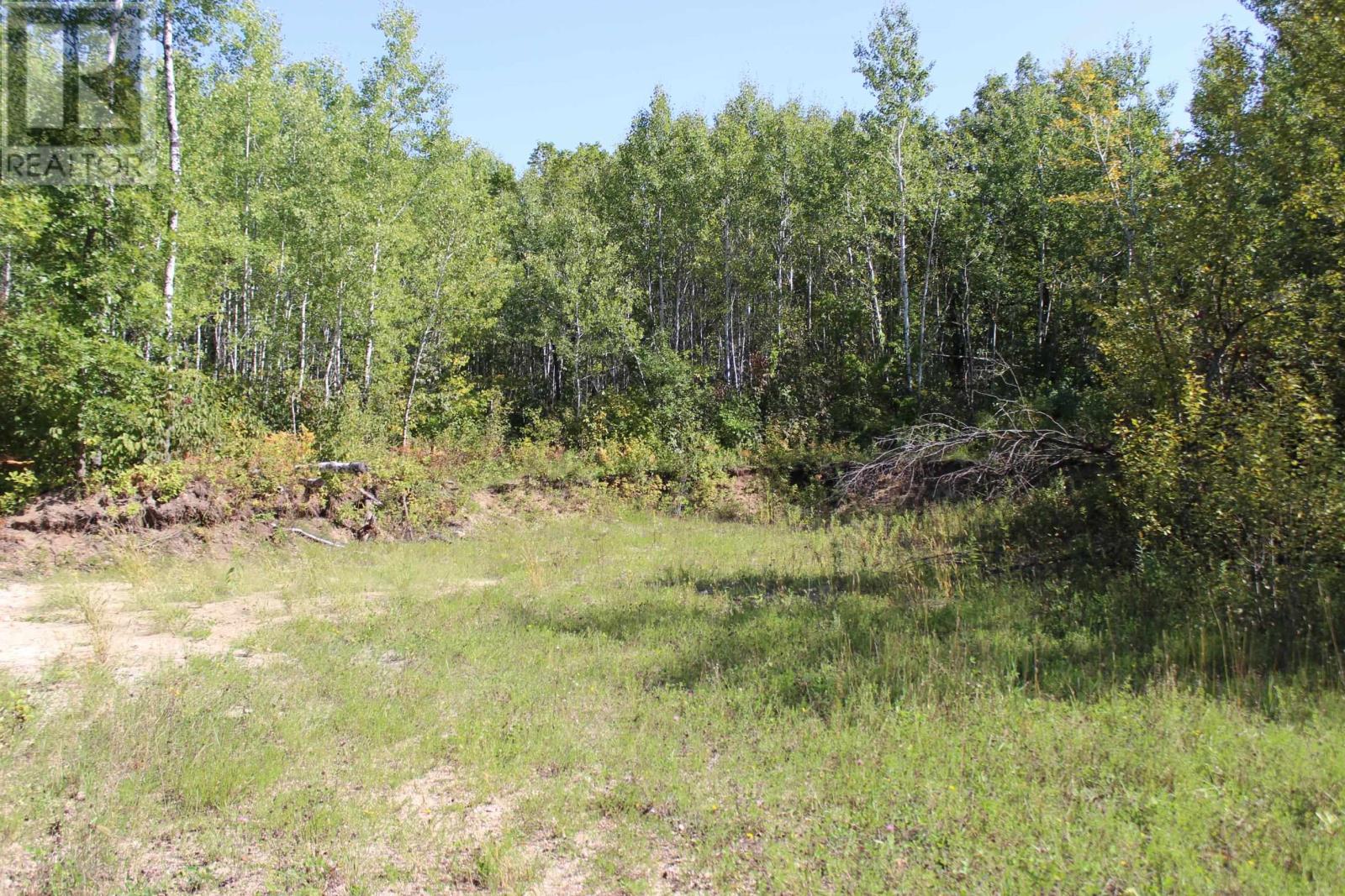 Pcl 46-3 Government Rd, Rainy River, Ontario  P0W 1L0 - Photo 21 - TB252880