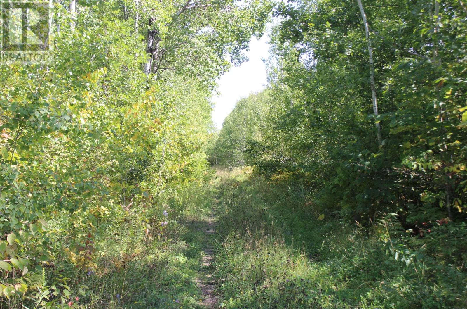 Pcl 46-3 Government Rd, Rainy River, Ontario  P0W 1L0 - Photo 18 - TB252880