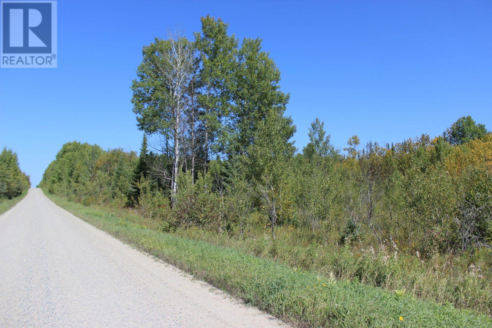 Pcl 46-3 Government Rd, Rainy River, Ontario  P0W 1L0 - Photo 13 - TB252880