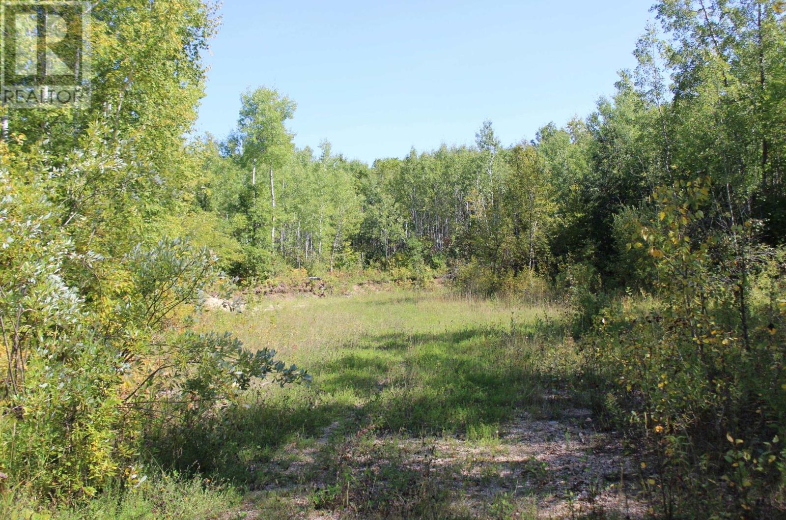 Pcl 46-3 Government Rd, Rainy River, Ontario  P0W 1L0 - Photo 25 - TB252880