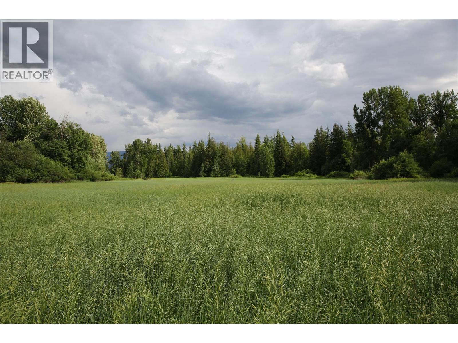 2523 Evans Road, Celista, British Columbia  V0E 1M6 - Photo 3 - 10340837