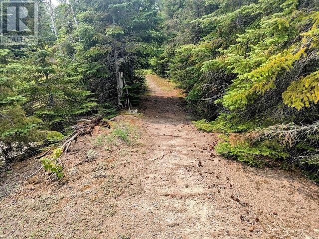 Rk196 Picnic Island, Dryden, Ontario  P8N 2Y5 - Photo 17 - TB252174