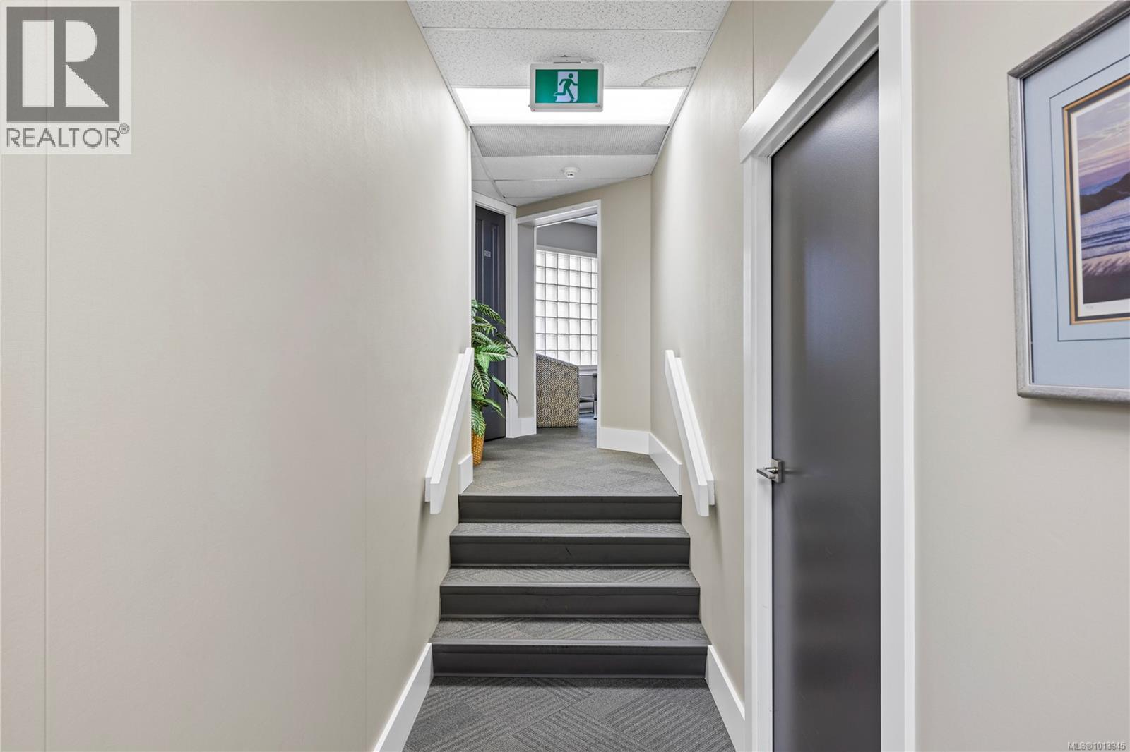 25 Cavan St, Nanaimo, British Columbia  V9R 2T9 - Photo 17 - 1013945