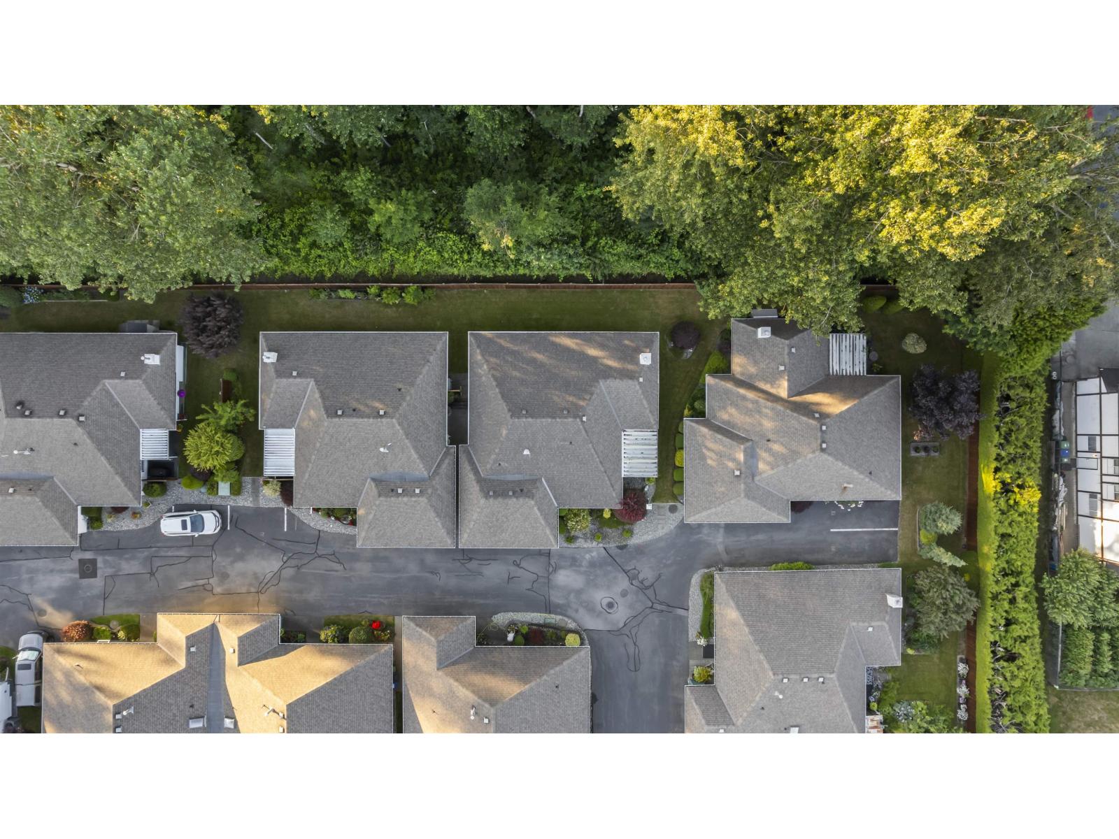 115 10172 141 Street, Surrey, British Columbia  V3T 4P6 - Photo 39 - R3047720