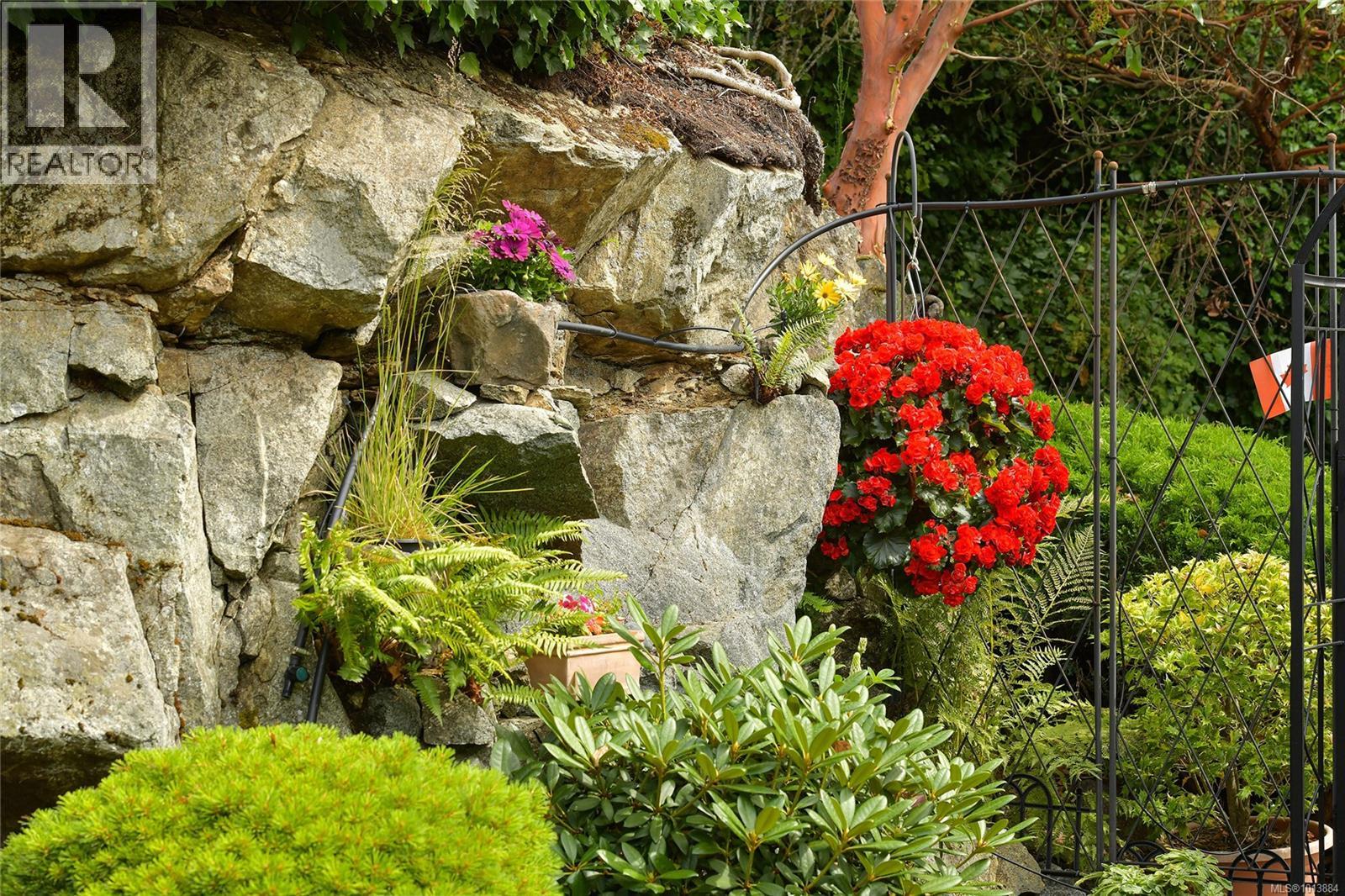 913 2829 Arbutus Rd, Saanich, British Columbia V8N 5X5 - Photo 7 - 1013884